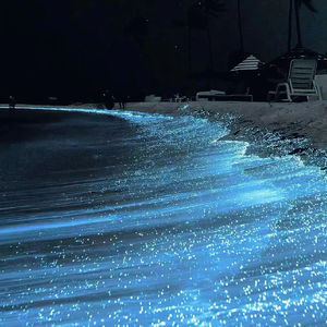 成人的福利影院
